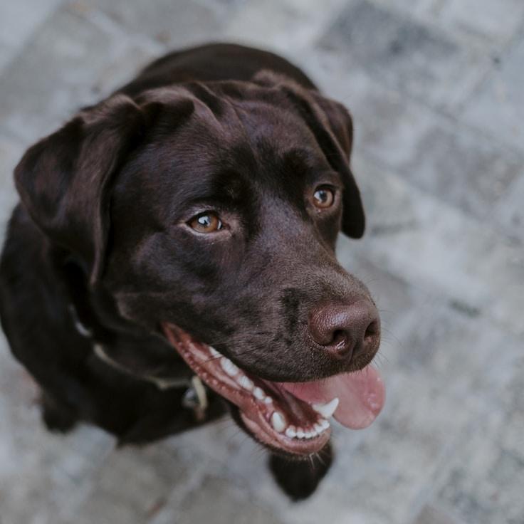 Kaveri Mehta, Lead Design Curator at Dawn Crest Harbor, reviewing corporate floral arrangements